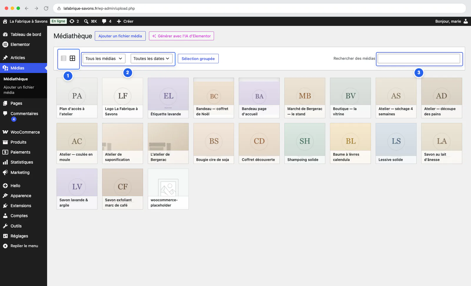 La médiathèque en vue grille, avec le sélecteur de vue, les filtres et la recherche numérotés