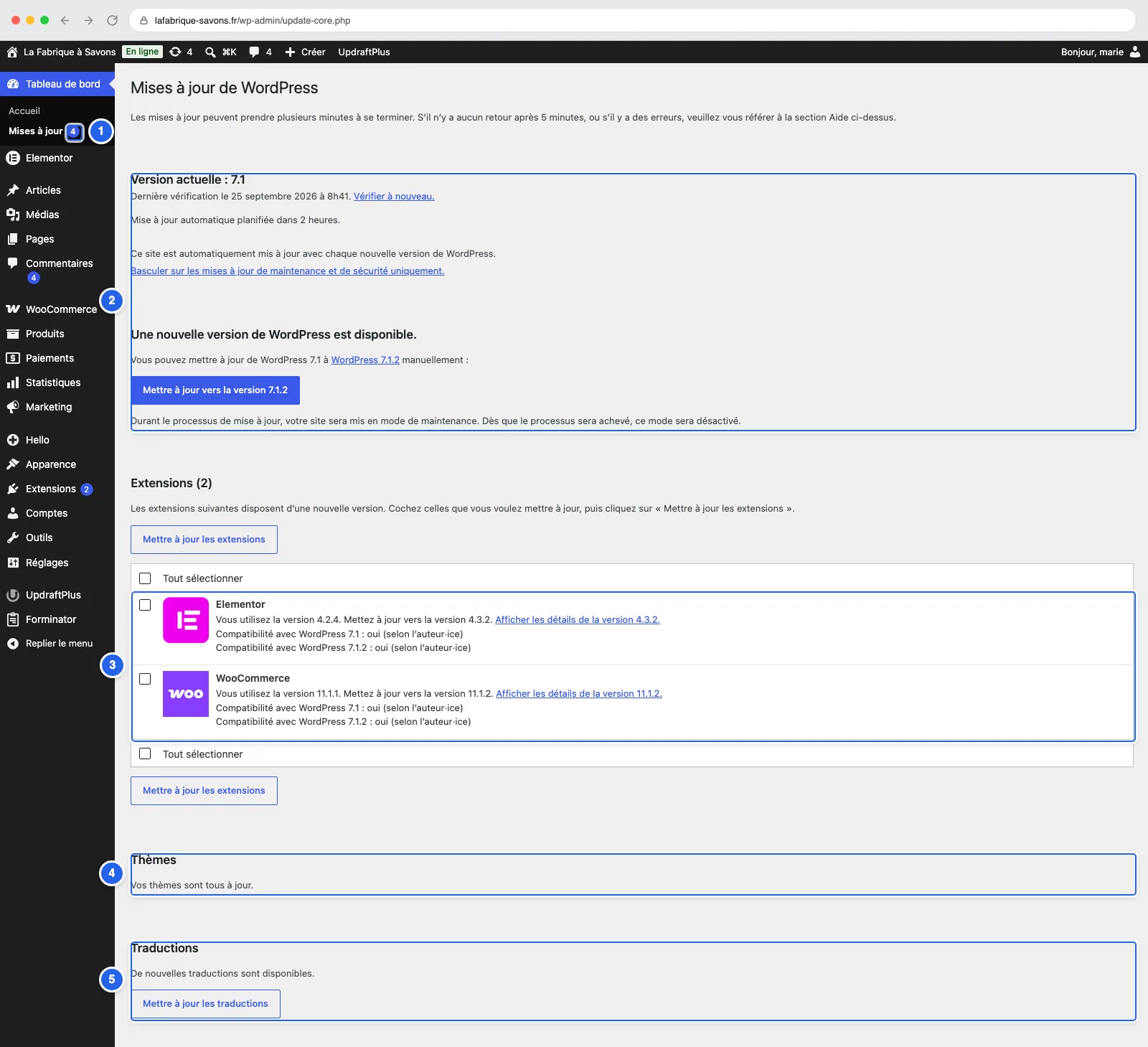 L'écran Mises à jour de WordPress : le bloc WordPress, deux extensions à mettre à jour, les thèmes et les traductions.