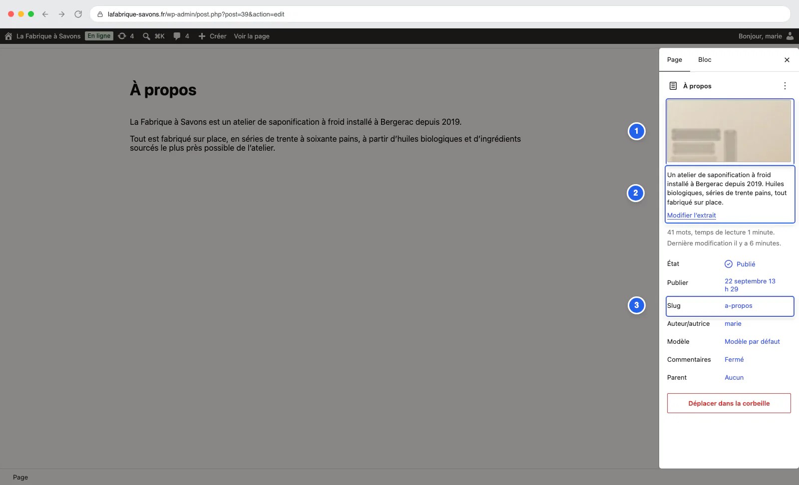 Colonne de droite d'une page WordPress : image mise en avant, extrait et slug