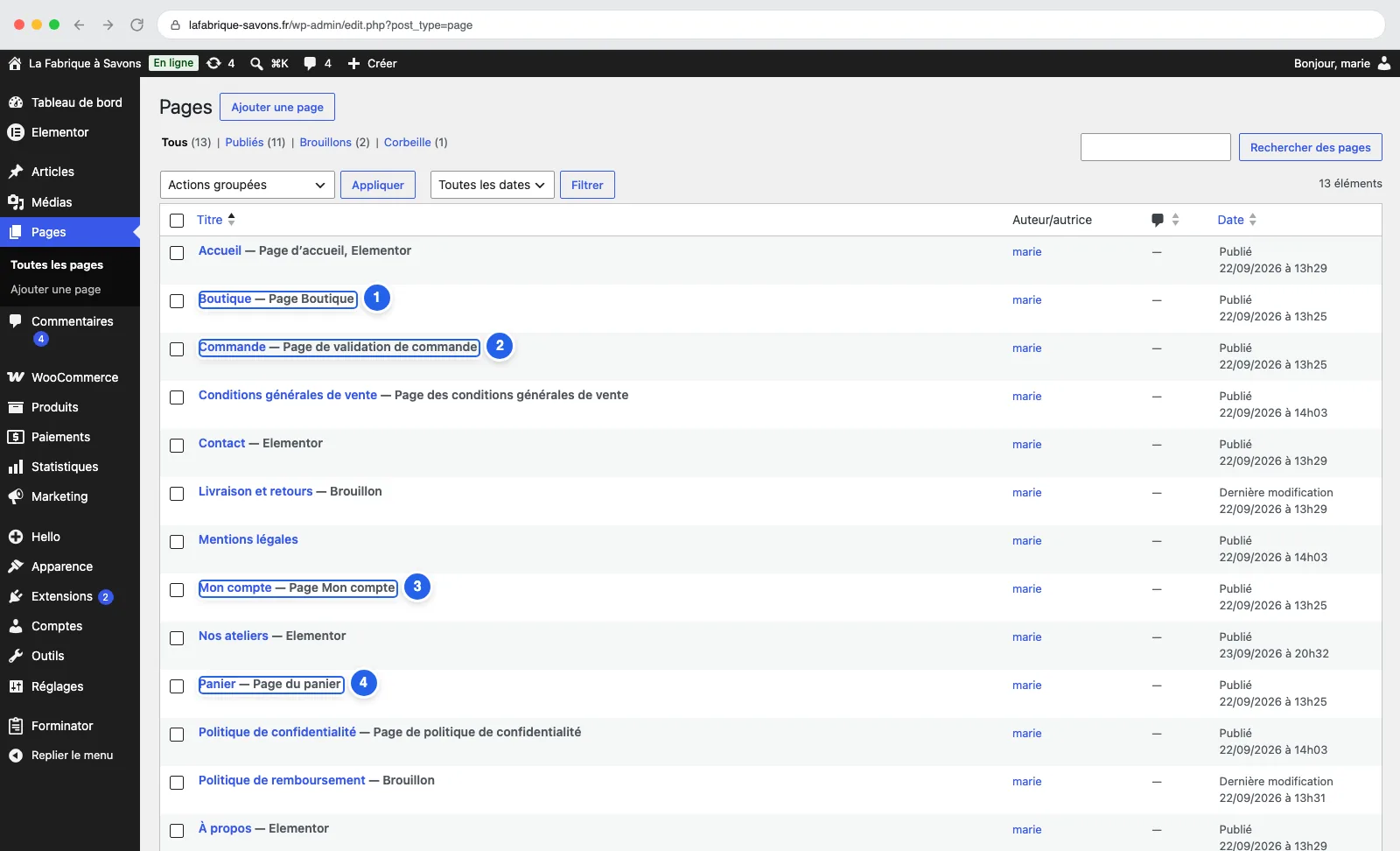 La liste des Pages de WordPress : quatre d'entre elles portent une mention grise qui les rattache à la boutique.